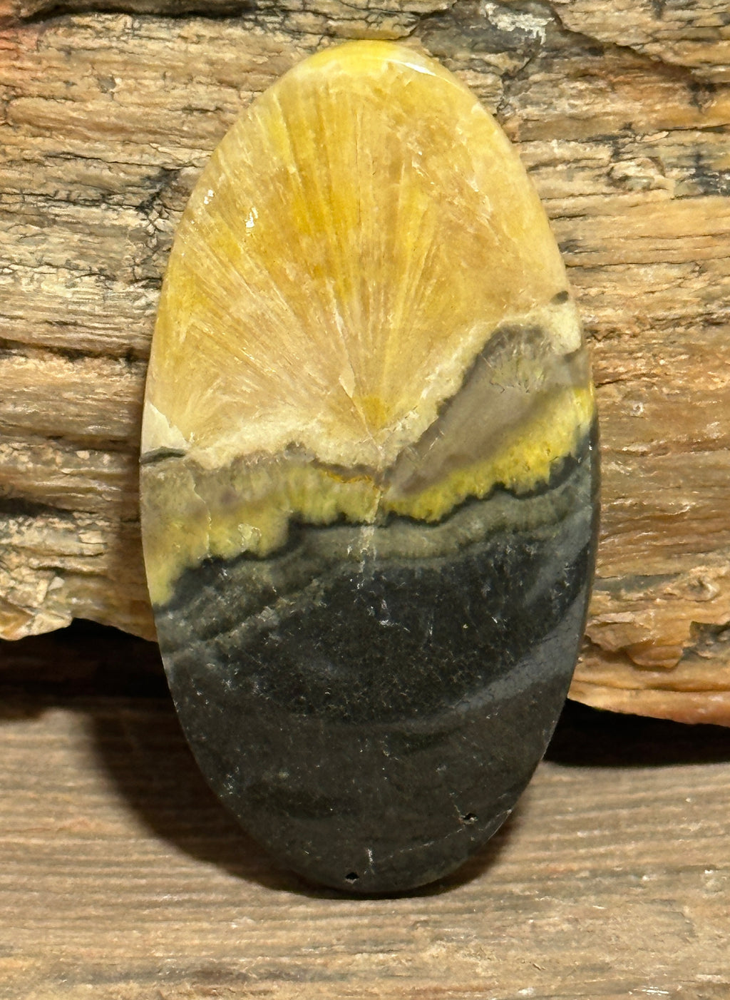 Bumblebee Jasper Cabochon-large loose oval gemstone for jewelry making