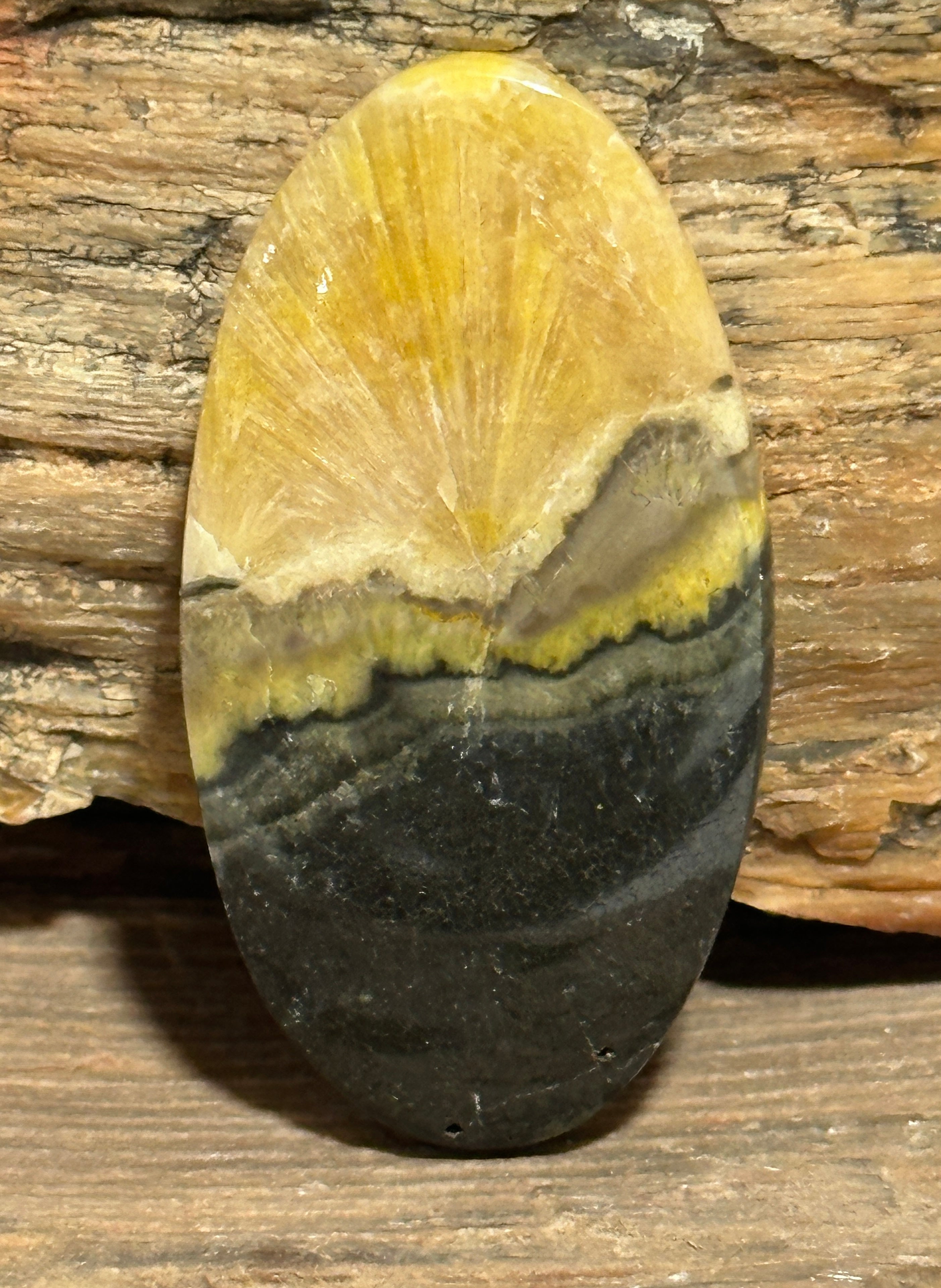 Bumblebee Jasper Cabochon-large loose oval gemstone for jewelry making