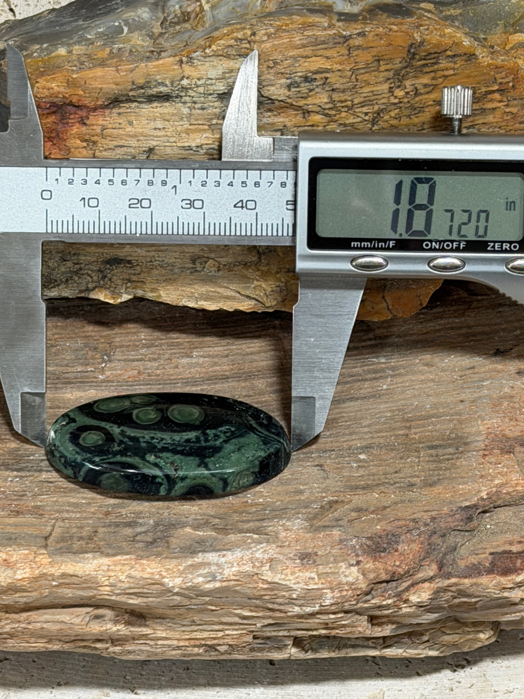 Kambaba Jasper Cabochon-Large Orbicular Oval