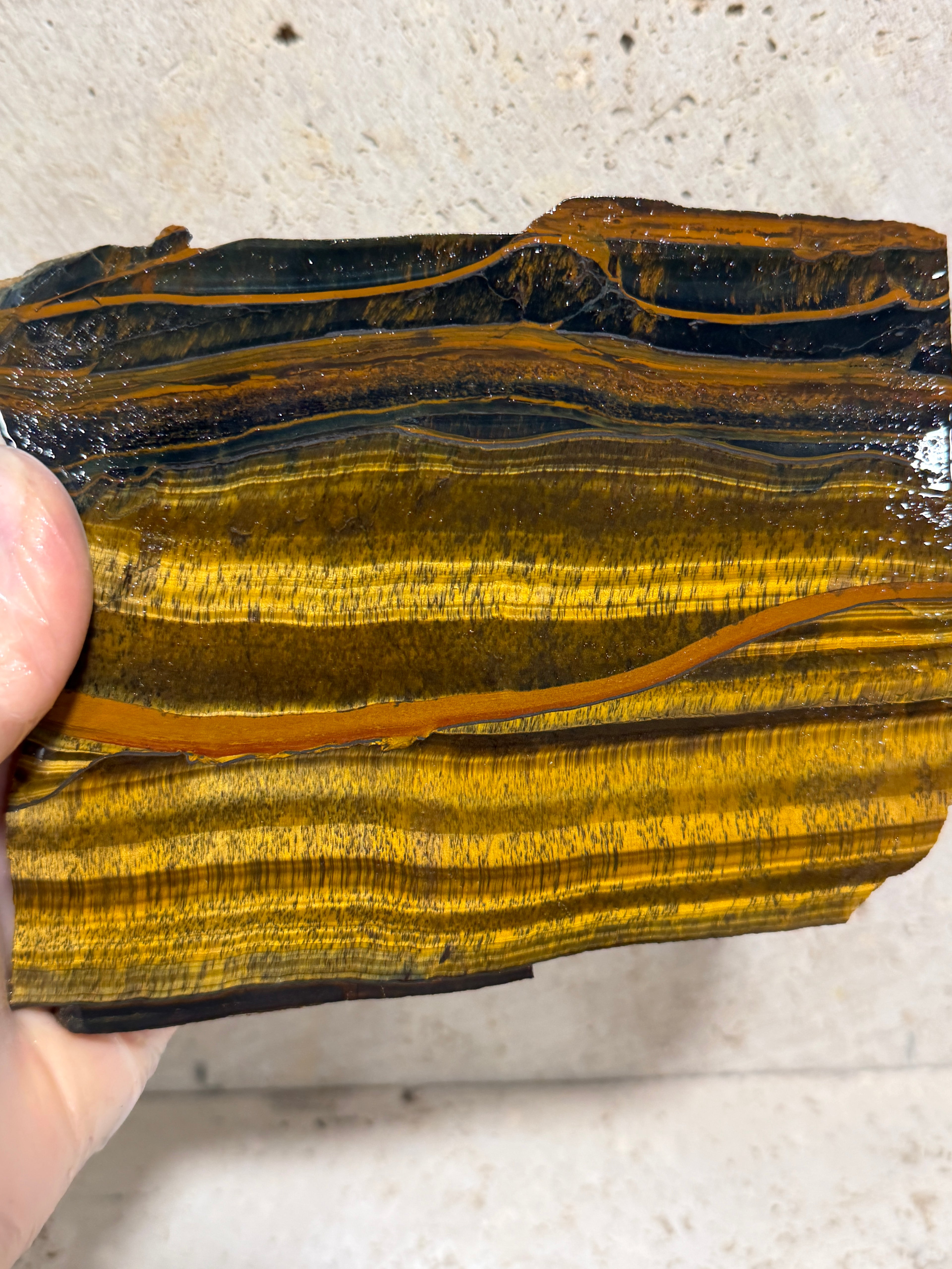Blue Gold Tiger Eye-Large Unpolished Chatoyant Slab