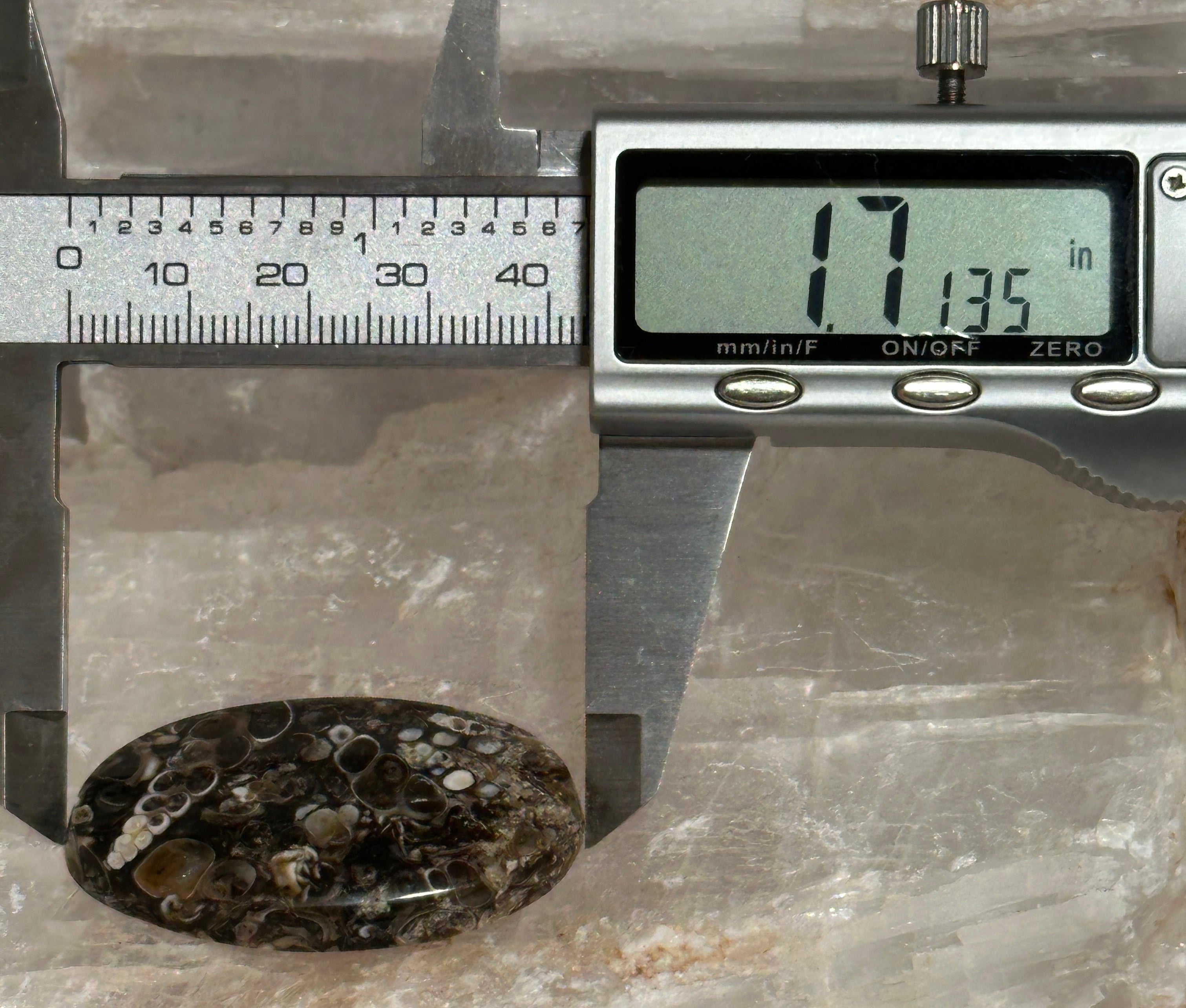 Turritella Agate Cabochon-large polished loose shell stone for jewelry making