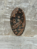 Rhyolite Cabochon-Orbicular Starlight Rhyolite large polished gemstone for jewelry making