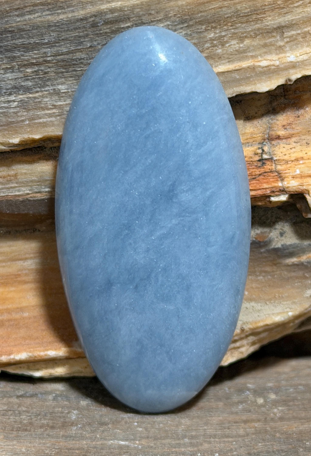 A polished natural blue oval Angelite cabochon gemstone with opalescence against petrified wood.