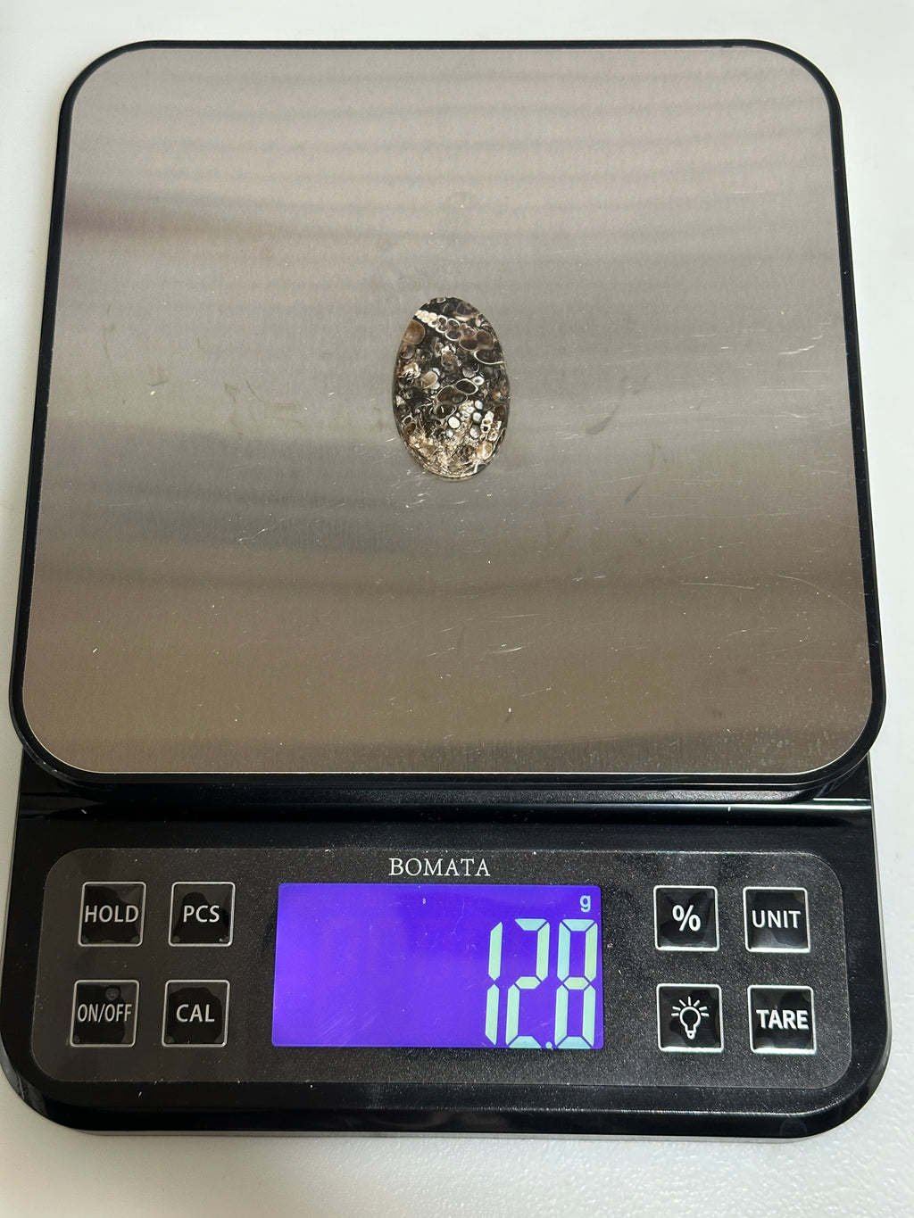 Turritella Agate Cabochon-large polished loose shell stone for jewelry making