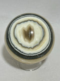 Banded Calcite Zebra Onyx 2.28 inch yellow and black colored sphere for reiki, energy healing, display, decor