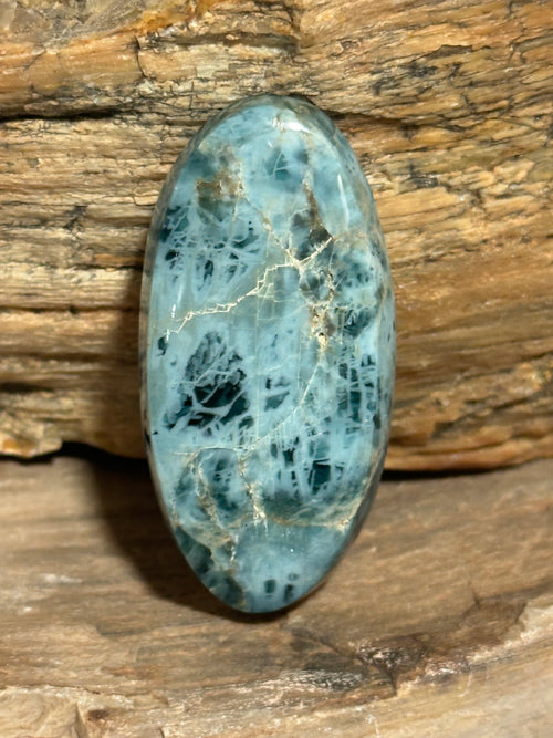 A polished oval Blue Apatite gemstone cabochon with a light blue-green base and dark marbling, pictured with petrified wood.