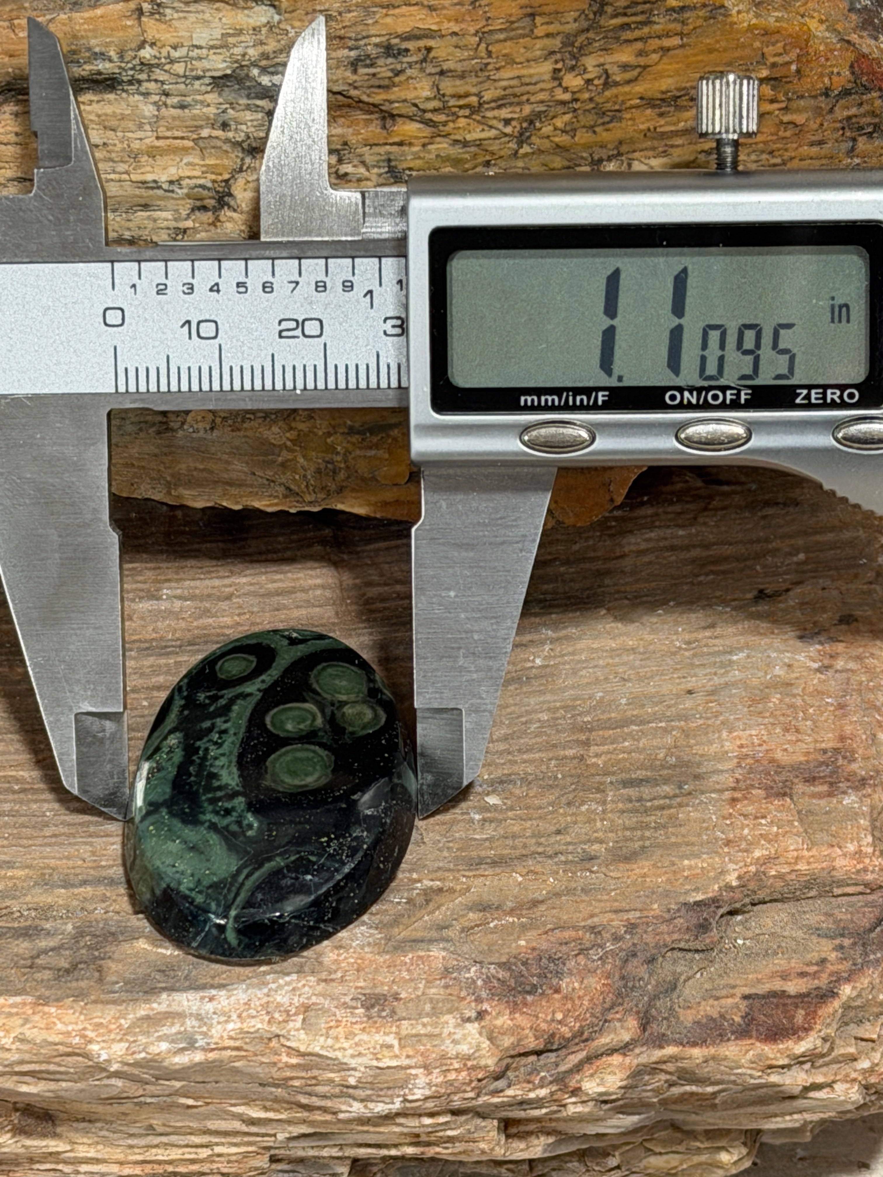 Kambaba Jasper Cabochon-Large Orbicular Oval