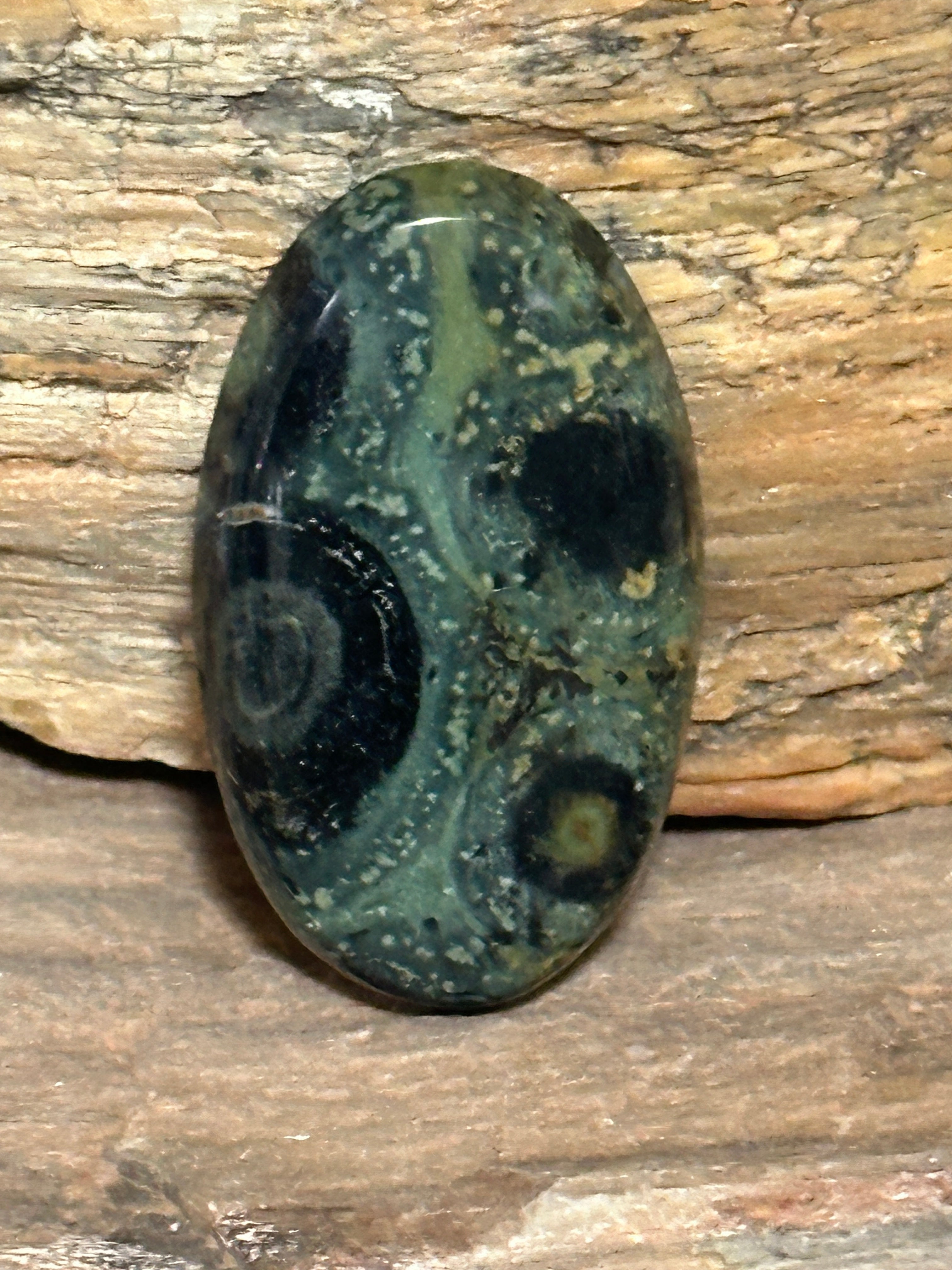 Kambaba Jasper Cabochon-medium polished loose gemstone for jewelry making