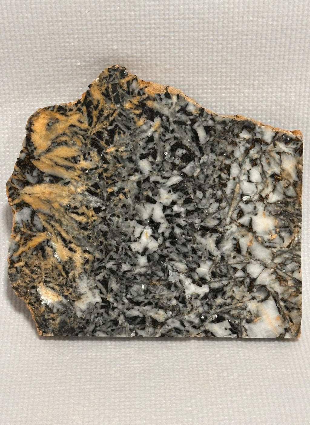 Canadian Pinolith Jasper Slab, Yellow Breccia Gemstone for Lapidary, Unpolished Stone