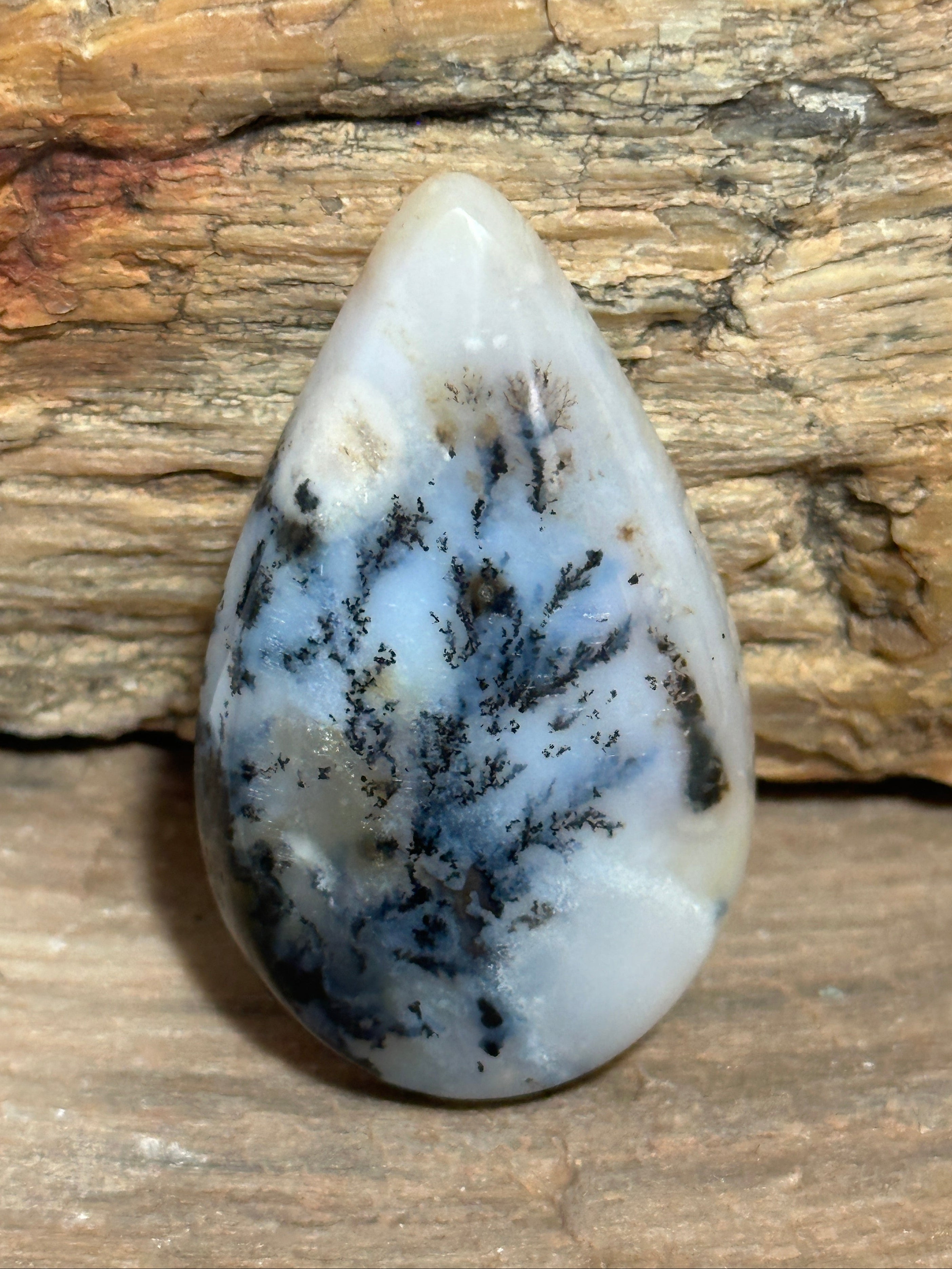 A teardrop-shaped polished Dendritic Agate cabochon with a white base and dark blue-gray to black dendritic veining, displayed against a petrified wood background.