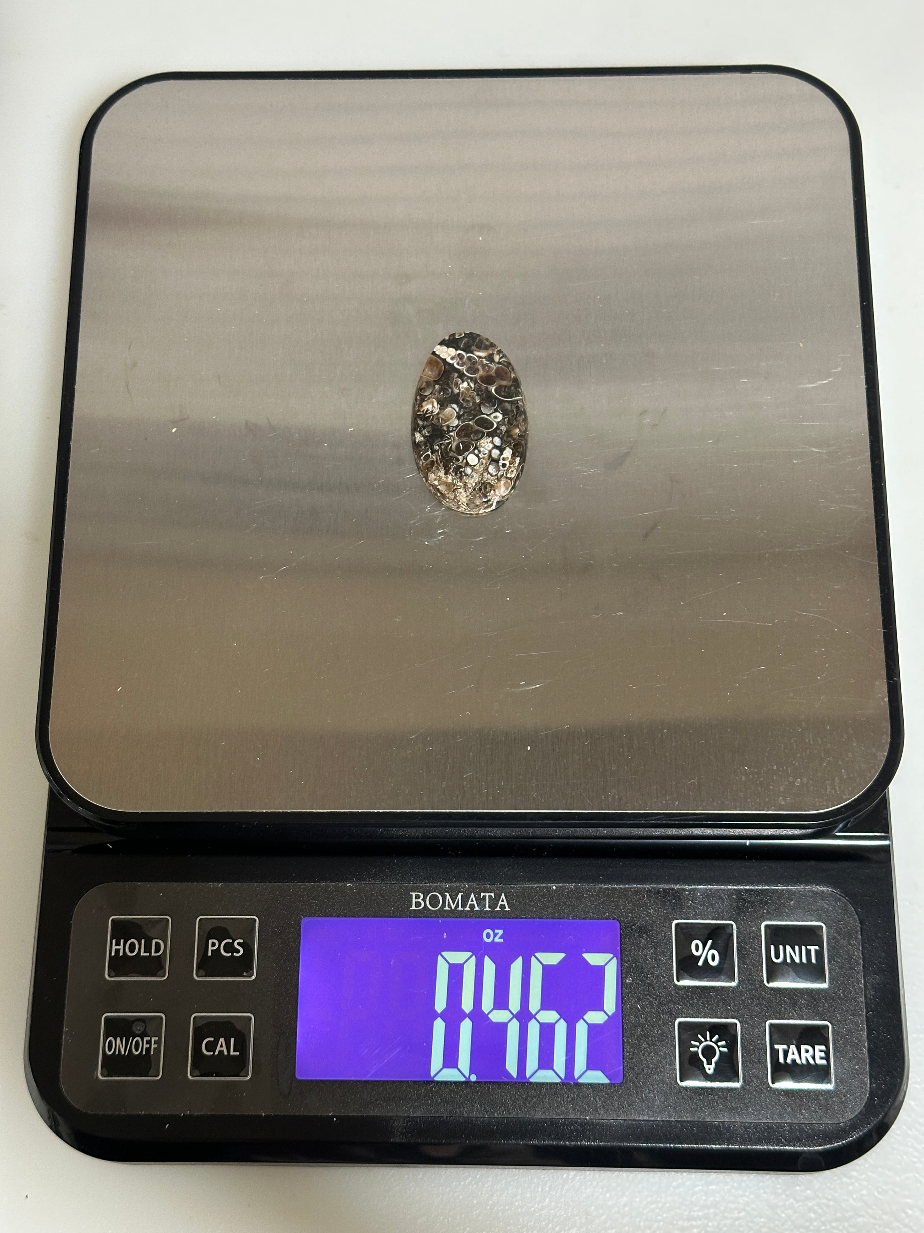 Turritella Agate Cabochon-large polished loose shell stone for jewelry making