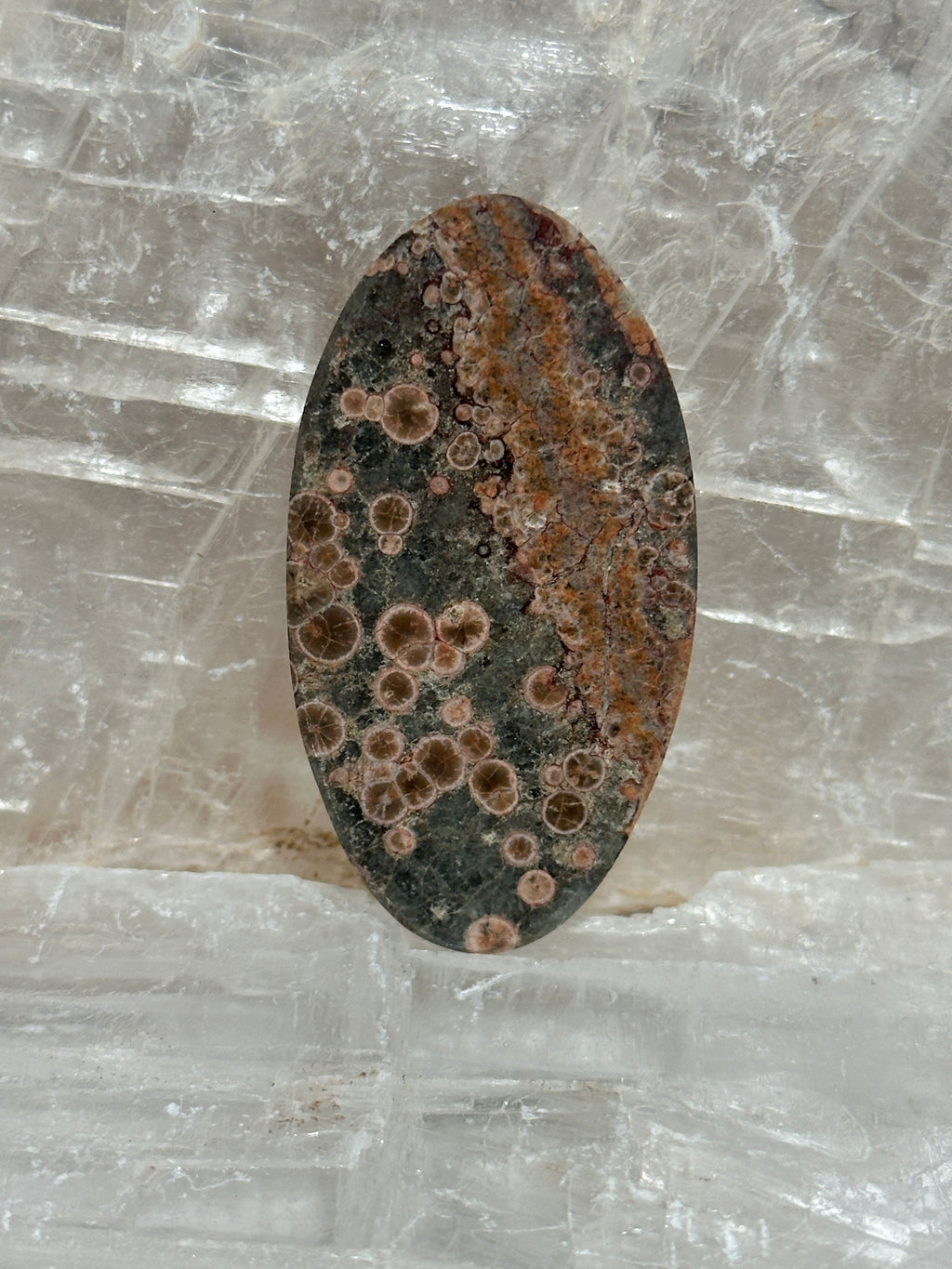 Rhyolite Cabochon-Orbicular Starlight Rhyolite large polished gemstone for jewelry making