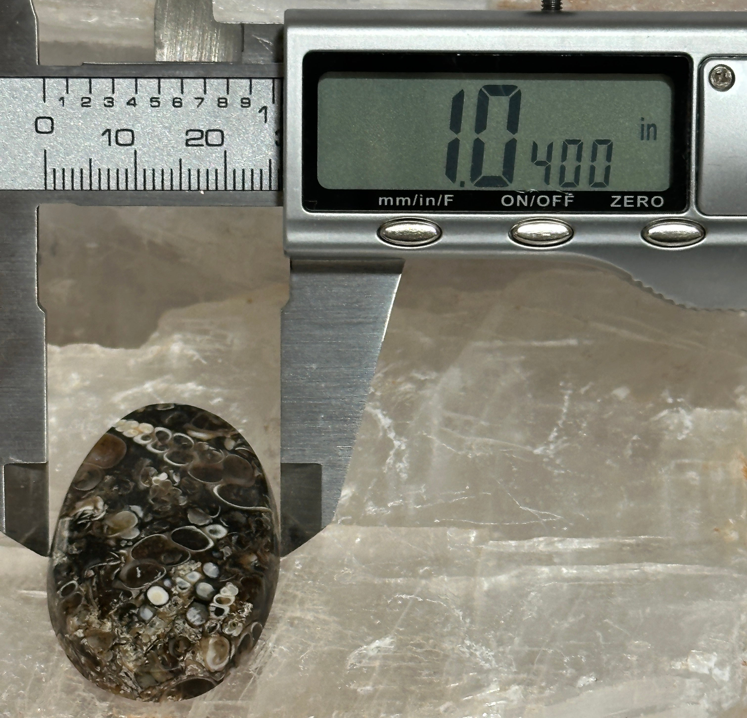Turritella Agate Cabochon-large polished loose shell stone for jewelry making