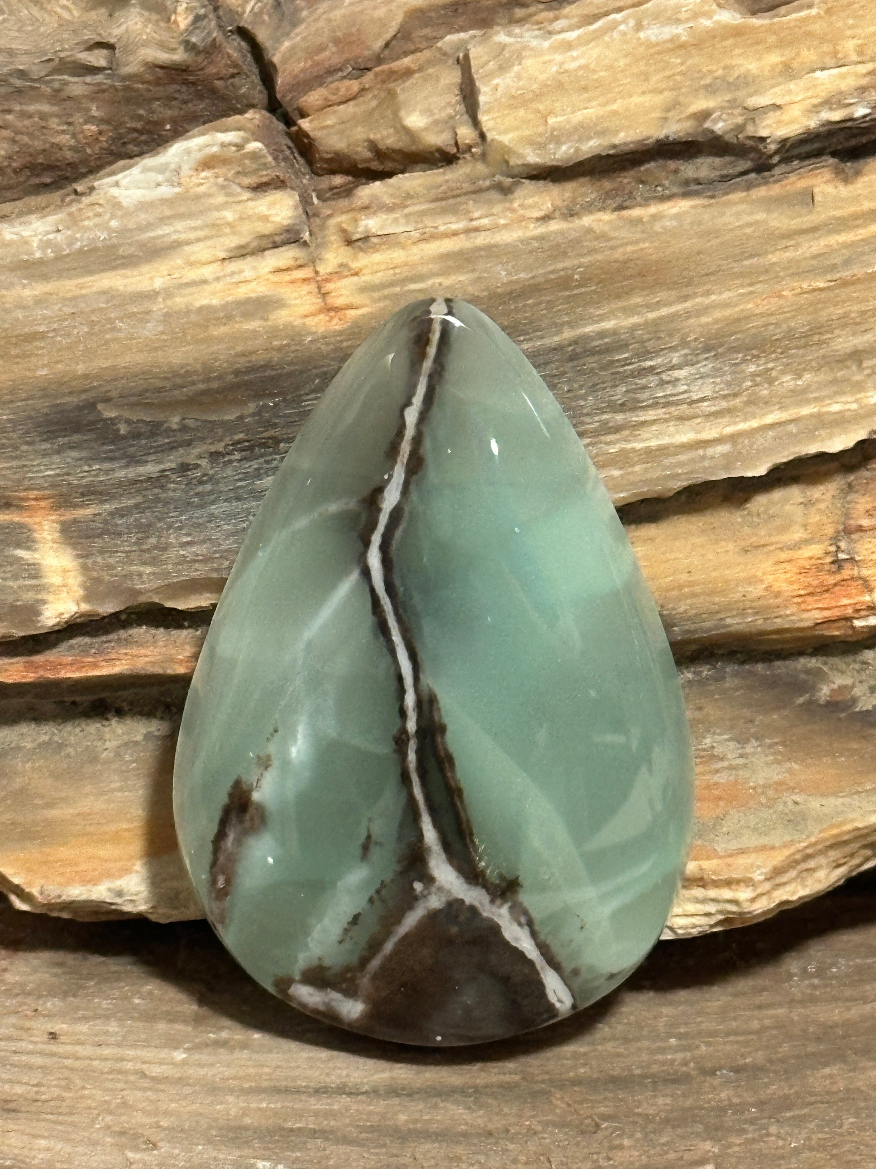 A polished teardrop-shaped substantial Green Banded Calcite stone cabochon with a prominent dark brown and white veining pattern, displayed against a petrified wood background.