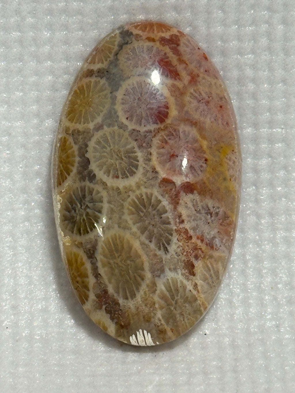 Indonesian coral 1.4 inch medium oval cabochon loose gemstone orange, red, yellow