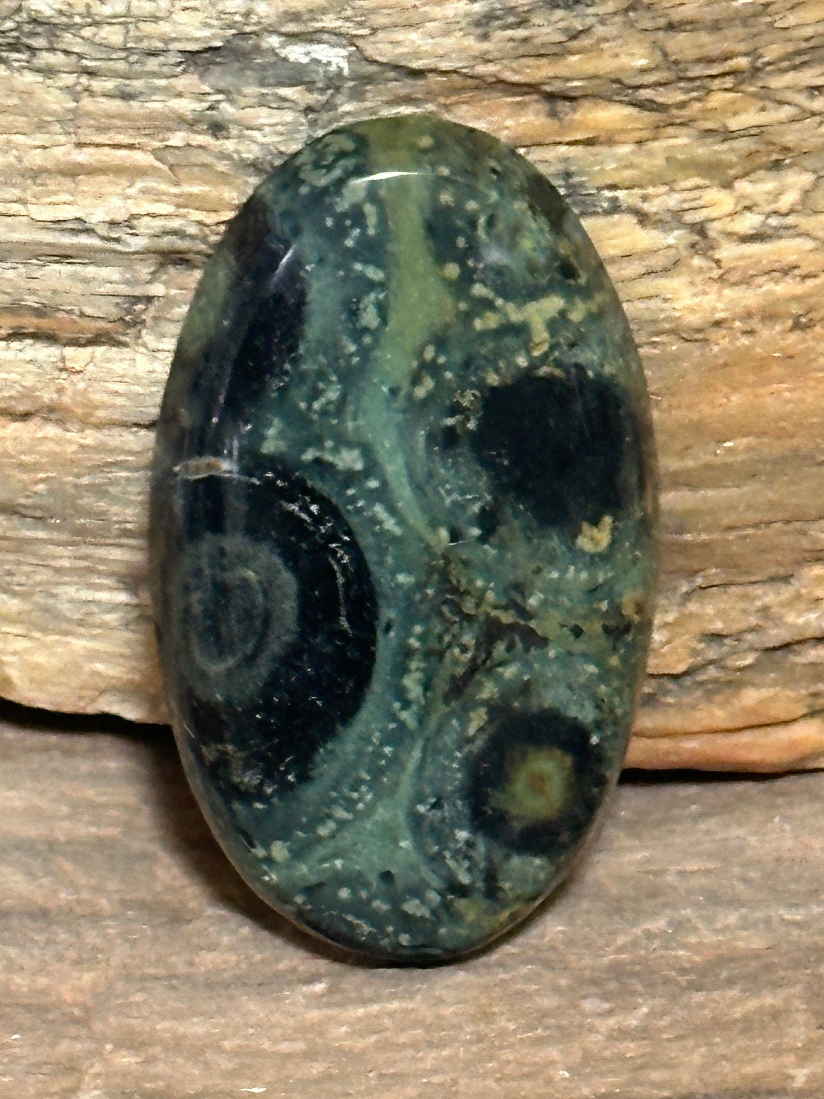 A polished oval Kambaba Jasper cabochon gemstone with a mottled pattern of dark green, black, and light olive, resting on a petrified wood background.