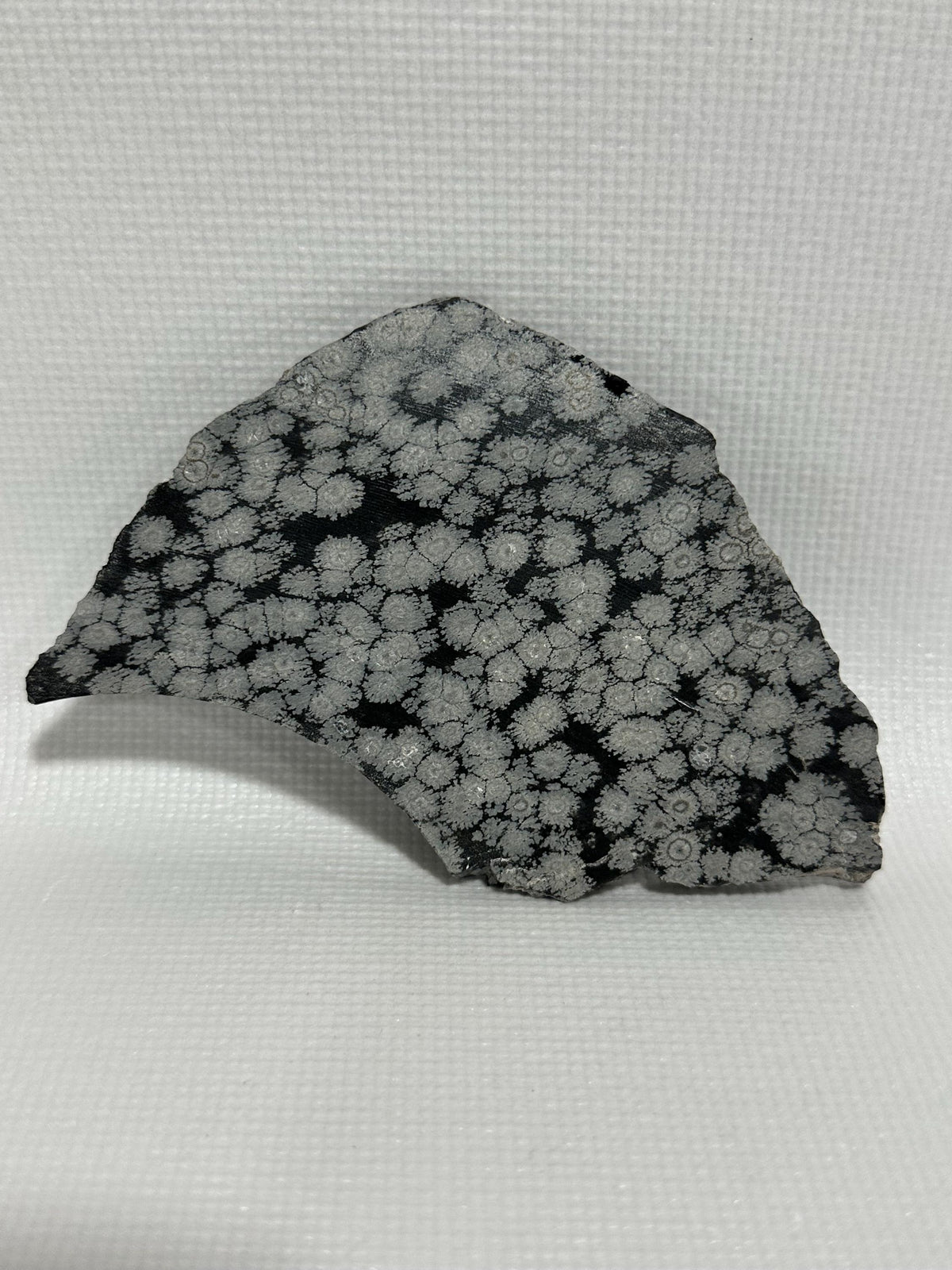 Snowflake Obsidian gemstone slab for lapidary fun, unpolished