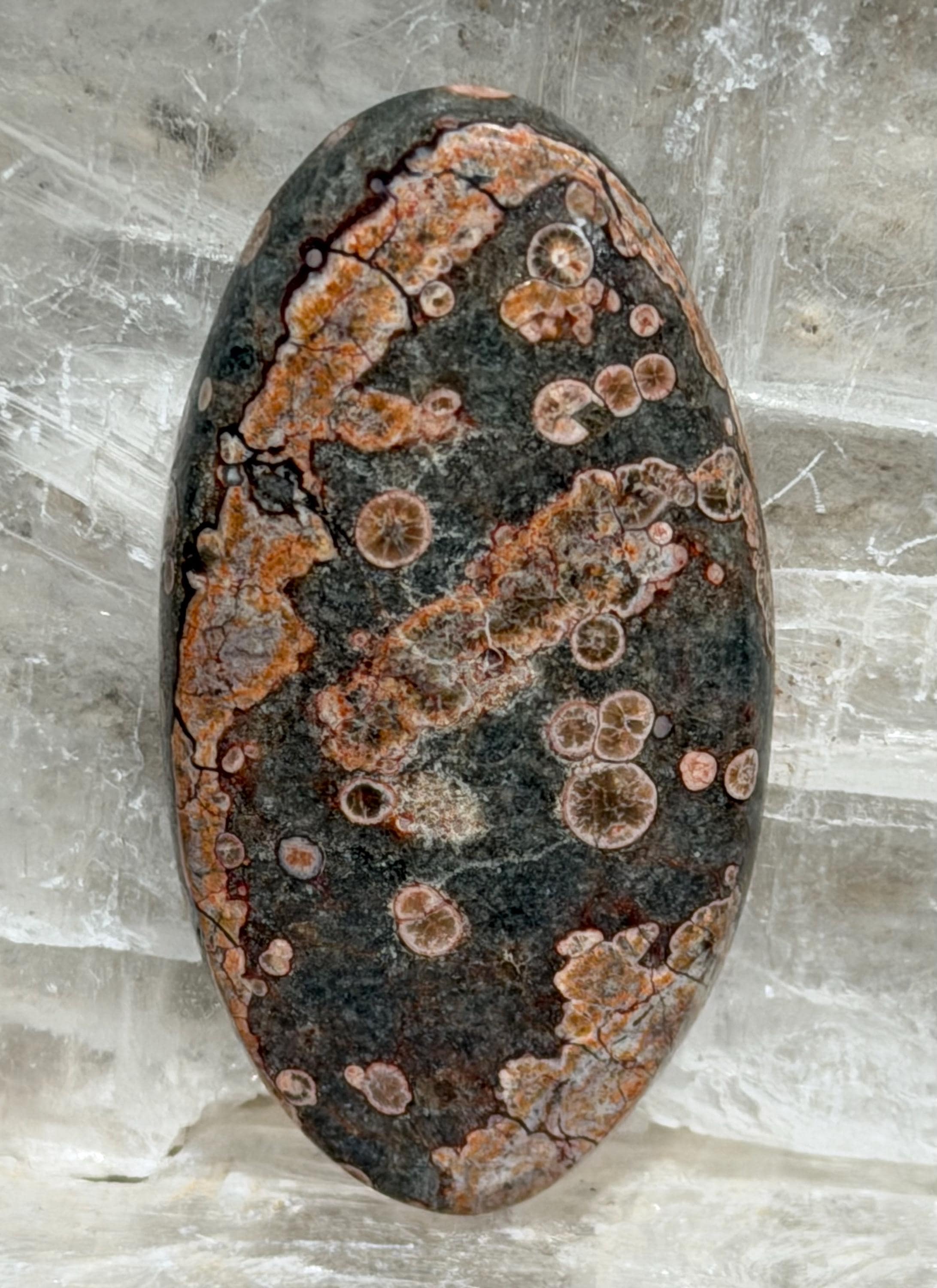 Rhyolite Cabochon-Orbicular Starlight Rhyolite-Large Designer Hand Cut Polished Gemstone for Jewelry Making
