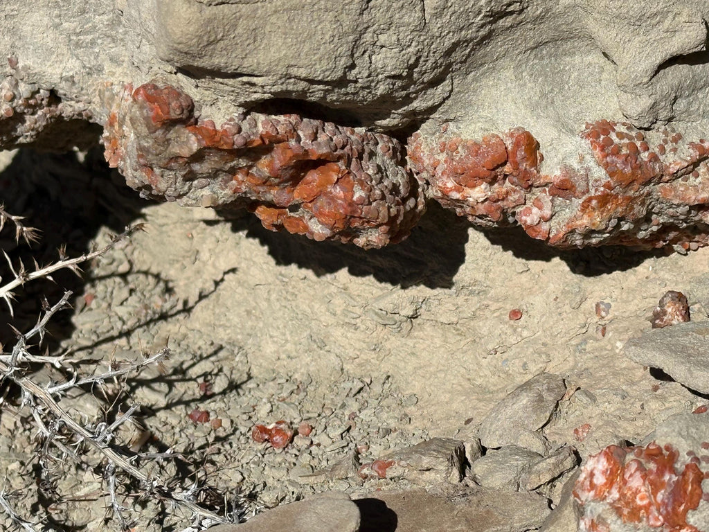 Grape agate teardrop loose gemstone from San Rafael Swell