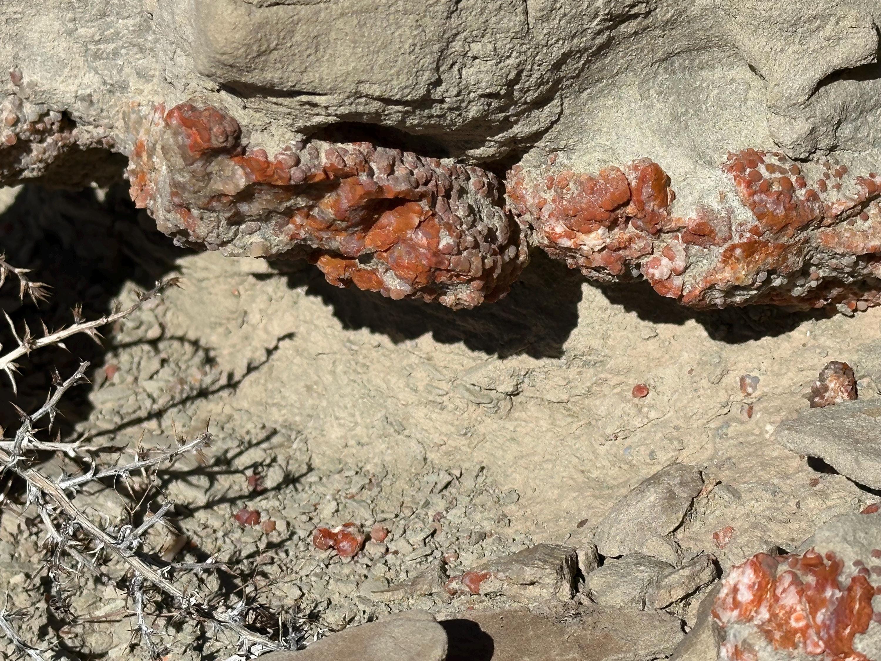 Grape agate teardrop loose gemstone from San Rafael Swell