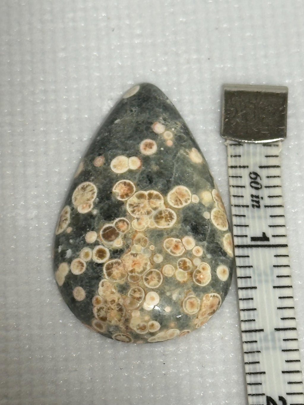Rhyolite teardrop cabochon loose Starlight Rhyolite gemstone for jewelry making
