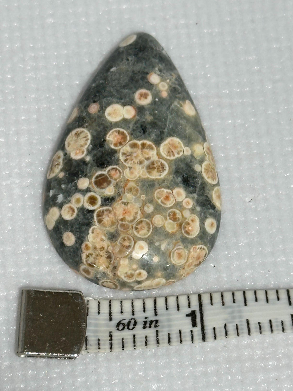Rhyolite teardrop cabochon loose Starlight Rhyolite gemstone for jewelry making