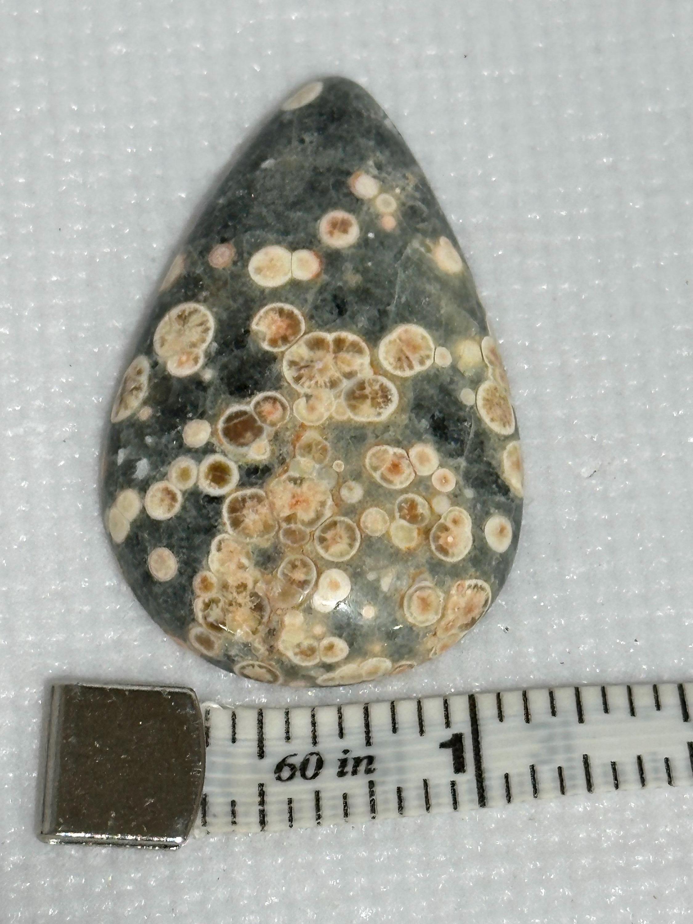 Rhyolite teardrop cabochon loose Starlight Rhyolite gemstone for jewelry making