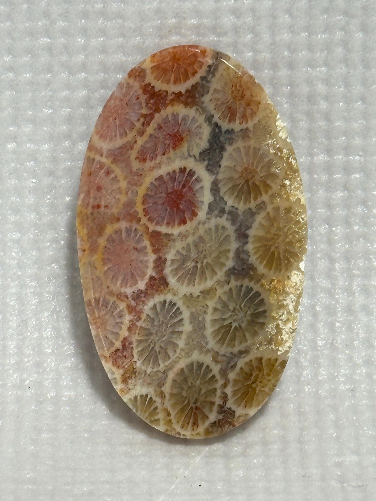 Indonesian coral 1.4 inch medium oval cabochon loose gemstone orange, red, yellow