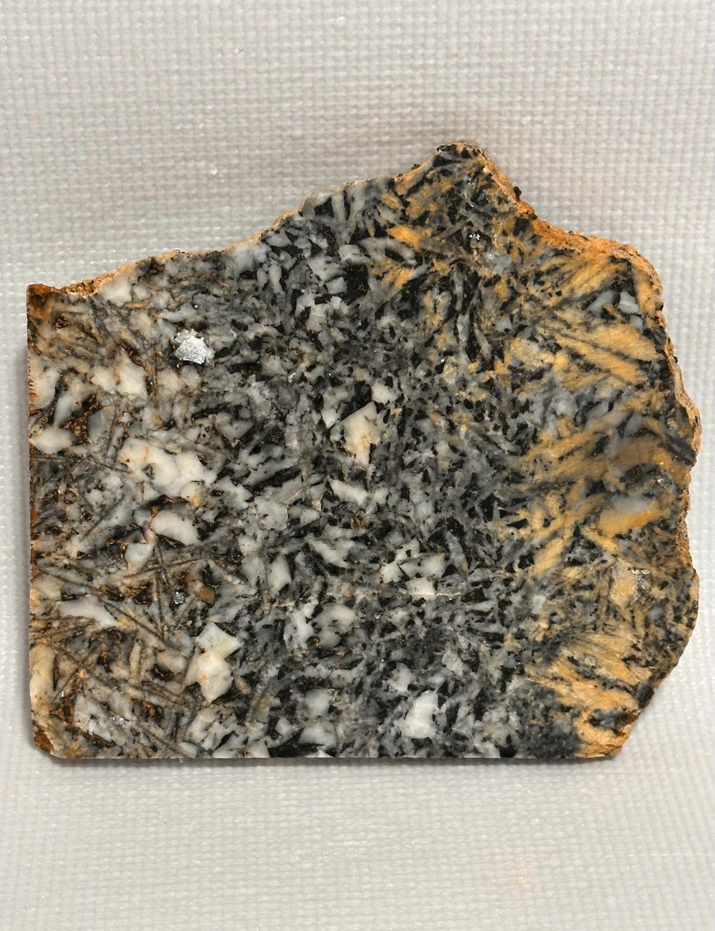 Canadian Pinolith Jasper Slab, Yellow Breccia Gemstone for Lapidary, Unpolished Stone