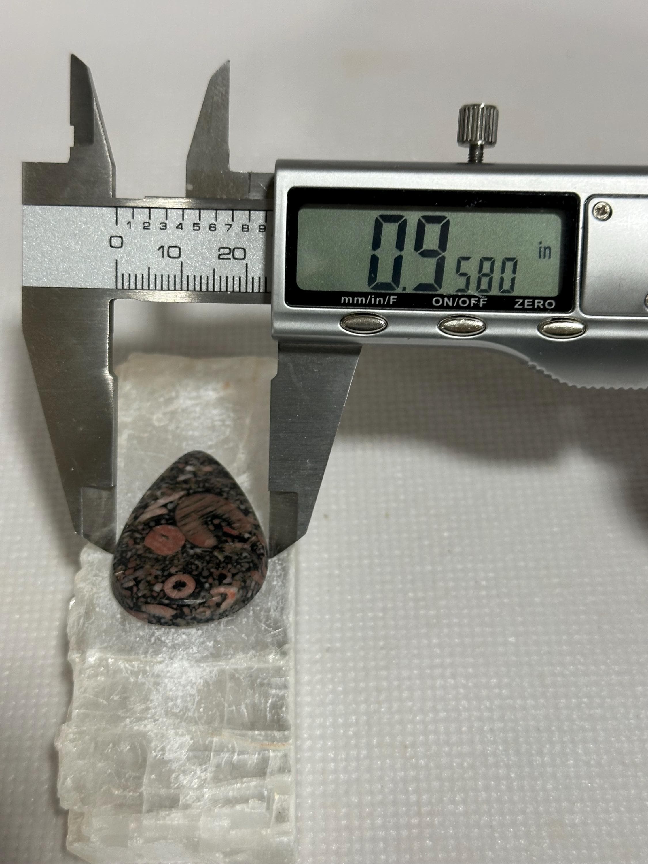 Crinoid natural fossilized stone teardrop cabochon for jewelry making