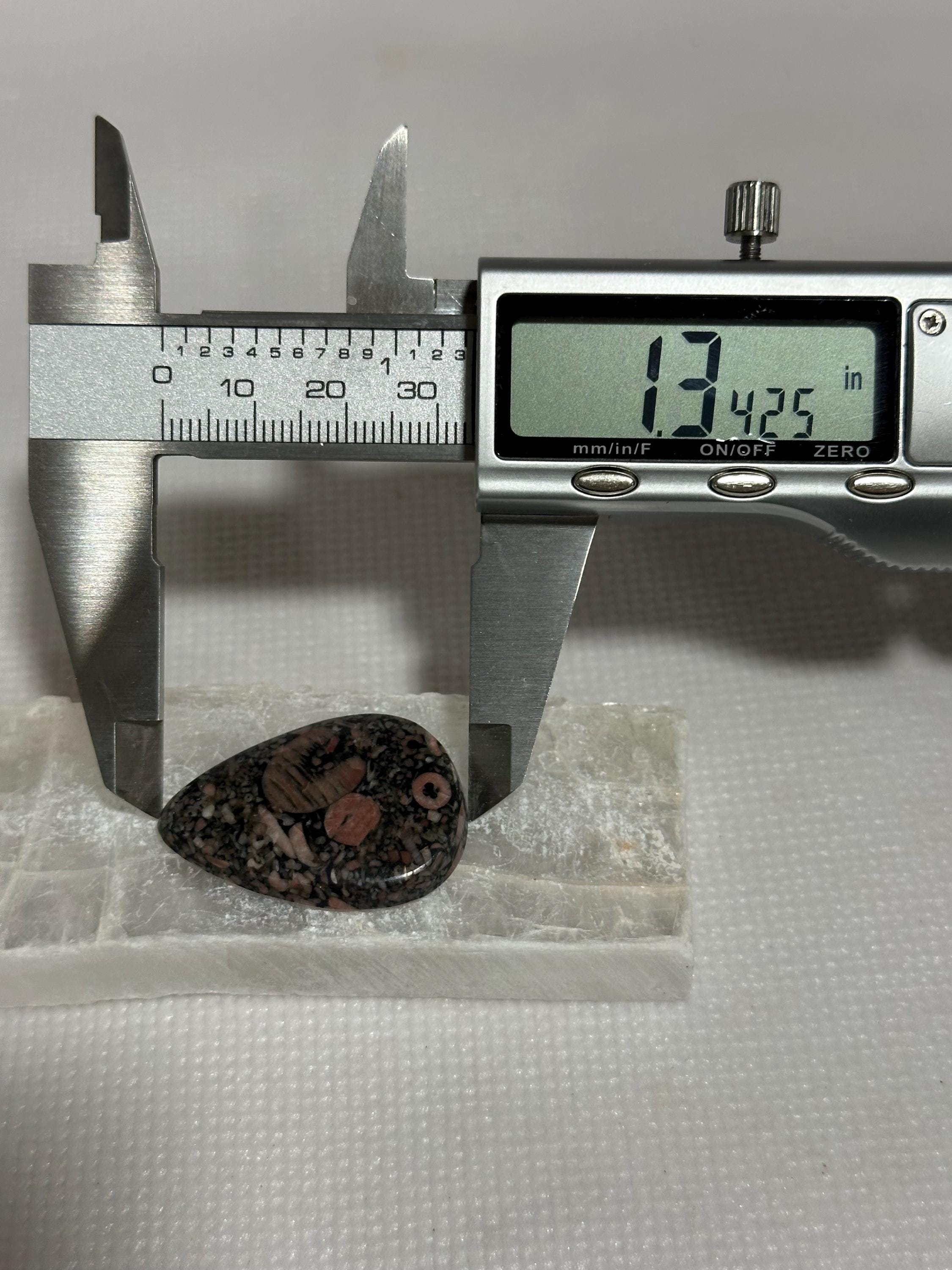 Crinoid natural fossilized stone teardrop cabochon for jewelry making