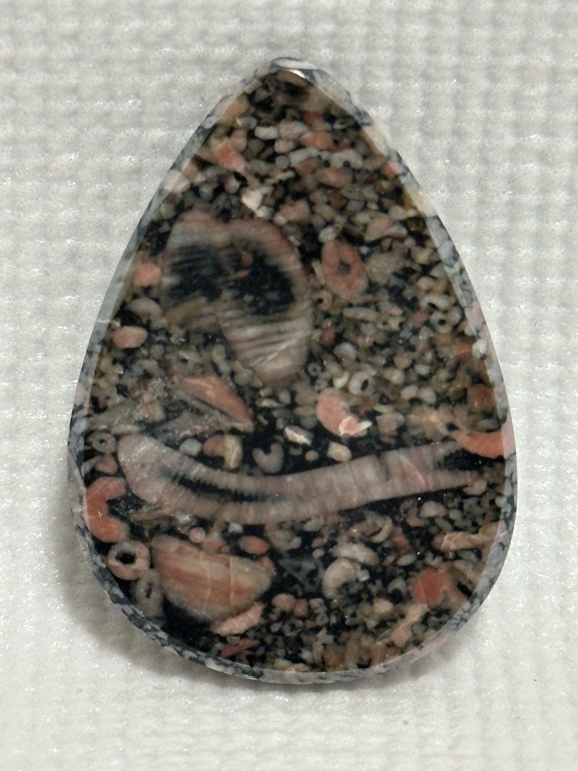 Crinoid natural fossilized stone teardrop cabochon for jewelry making