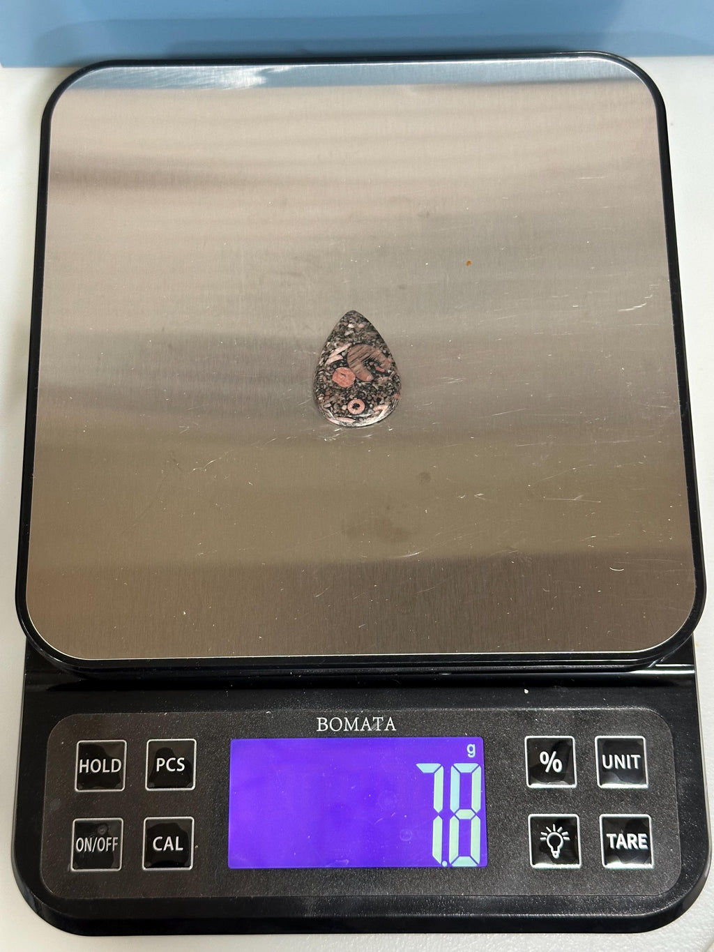 Crinoid natural fossilized stone teardrop cabochon for jewelry making