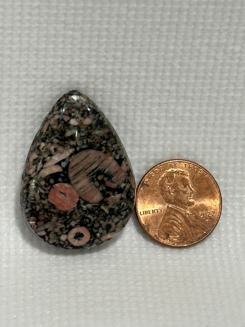 Crinoid natural fossilized stone teardrop cabochon for jewelry making