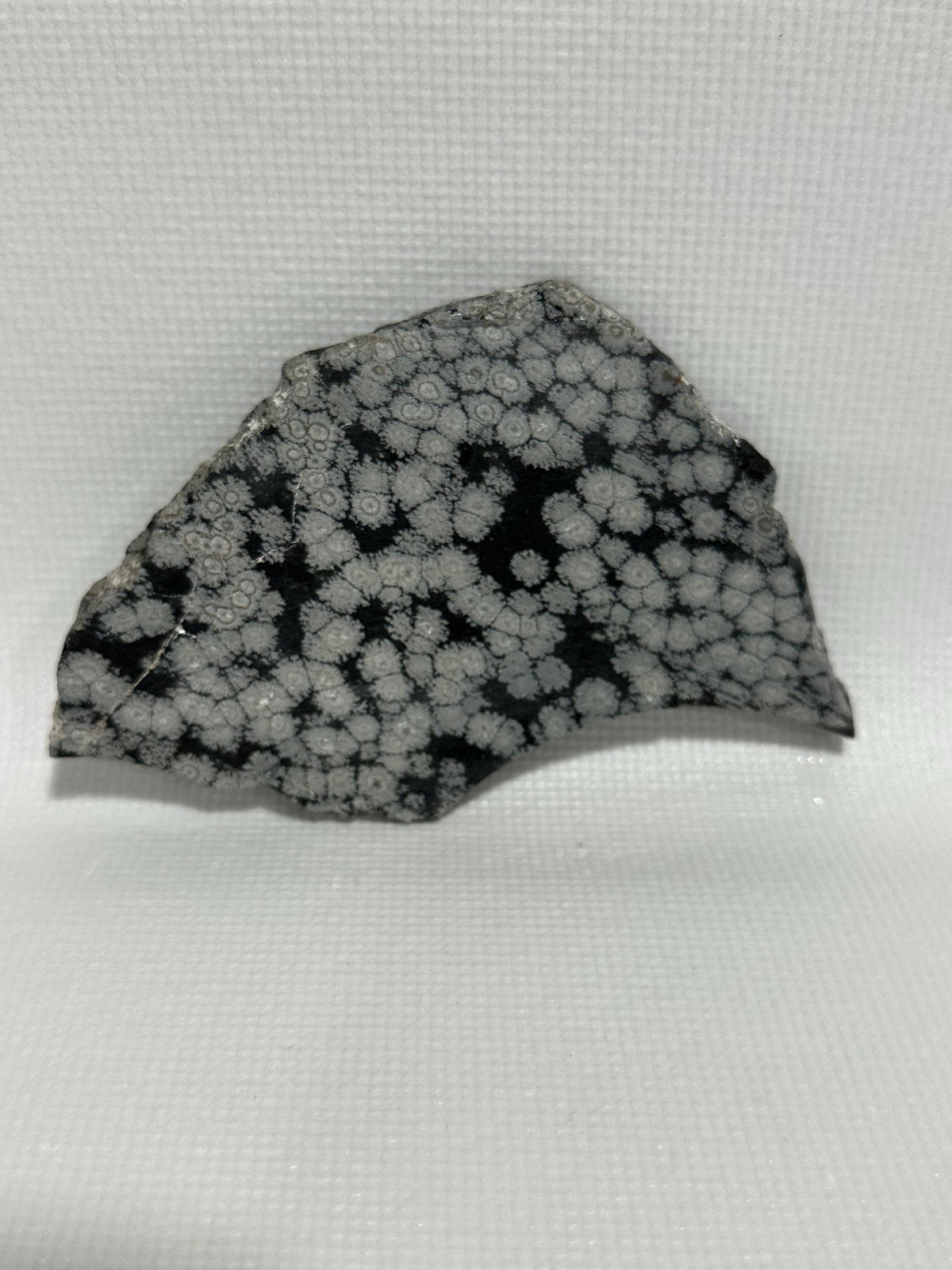 Snowflake Obsidian gemstone slab for lapidary fun, unpolished