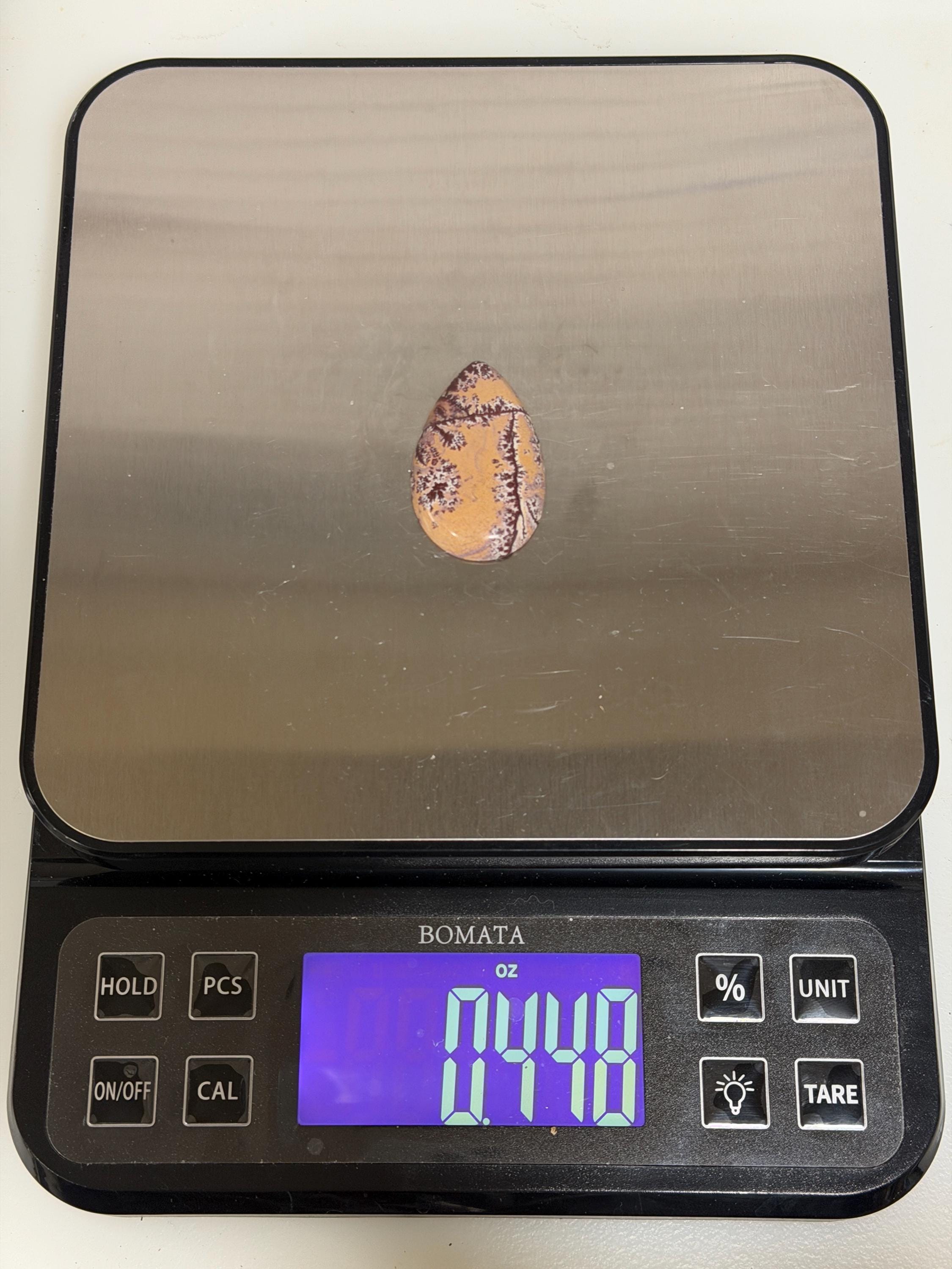 Picture Jasper Cabochon, Large Dendritic Sonoran Teardrop, Designer High Gloss Hand Cut Gemstone for Jewelry Making