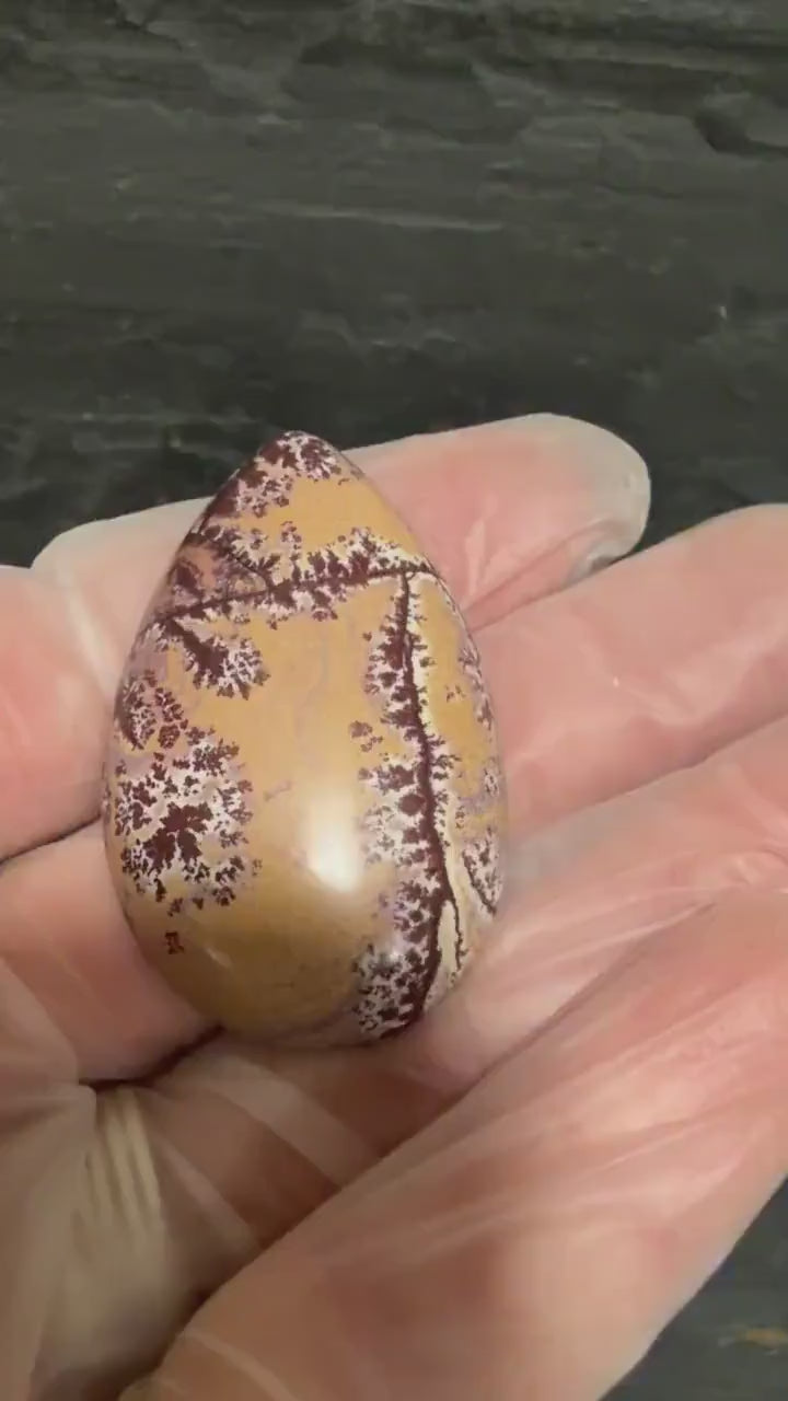Picture Jasper Cabochon, Large Dendritic Sonoran Teardrop, Designer High Gloss Hand Cut Gemstone for Jewelry Making
