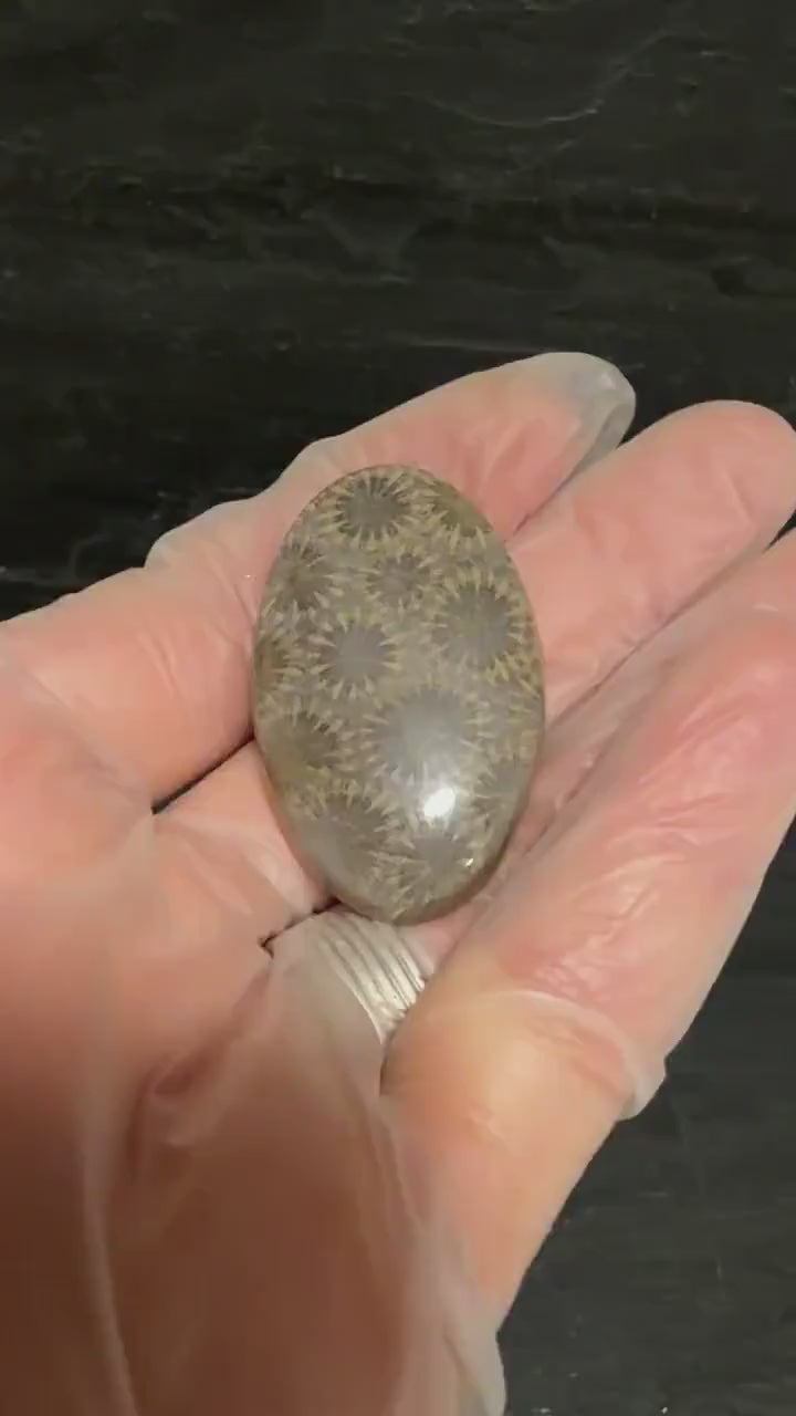 Fossilized Coral Cabochon, Flower Agatized Coral, Natural Starburst Pattern, Oval Polished Jewelry Making Gemstone