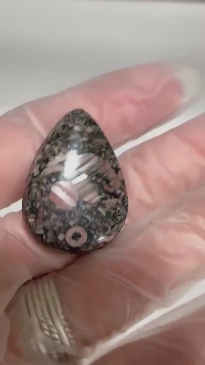 Crinoid natural fossilized stone teardrop cabochon for jewelry making