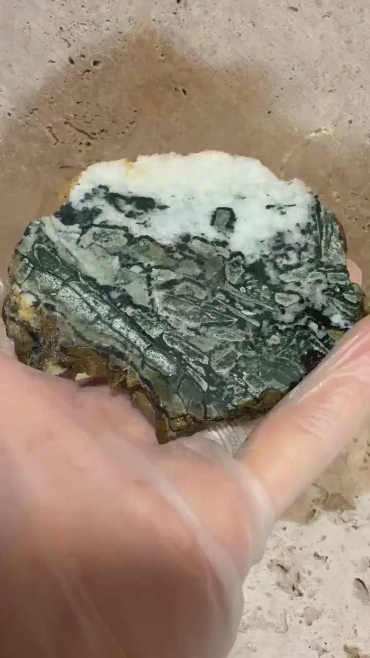 Dallasite Slab, Vancouver Island Lapidary Rough, Unpolished Gemstone, Natural Brecciated Stone, Canadian Rock Specimen