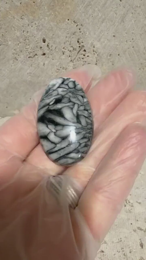 Austrian Pinolith Cabochon, Natural Black and White Pinolite, Hand Cut Oval Designer Gemstone, Jewelry Making