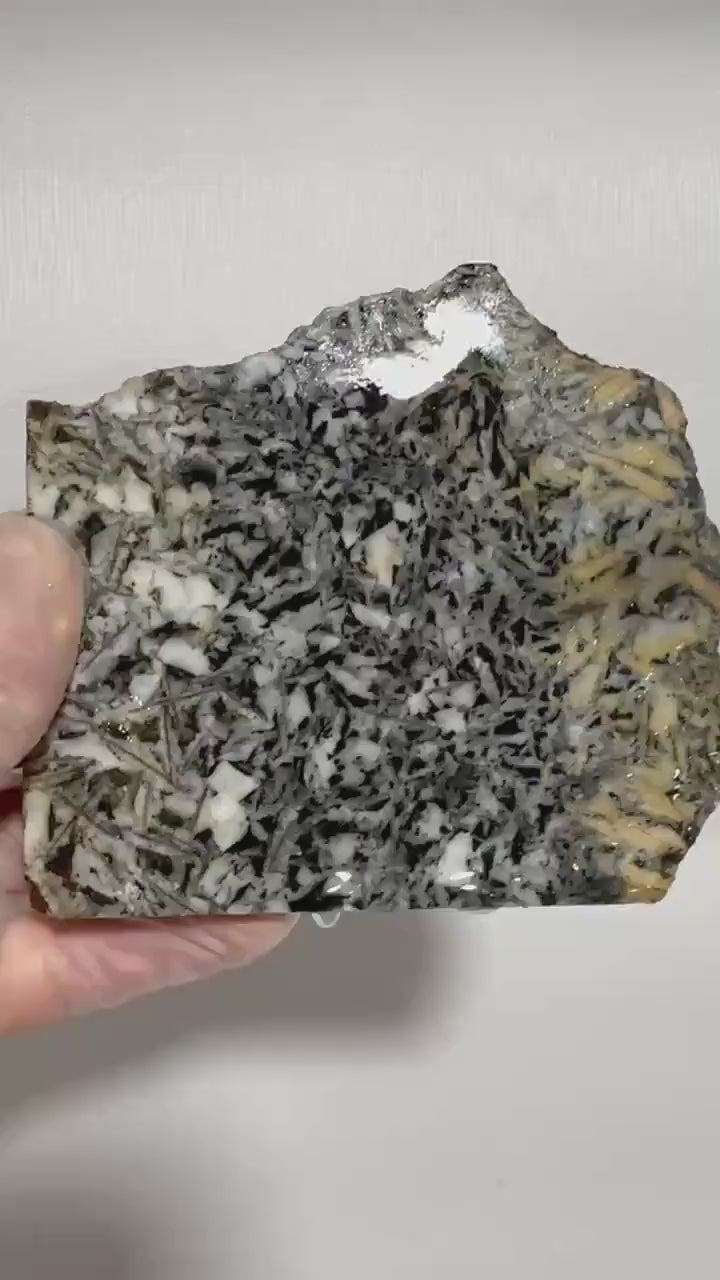 Canadian Pinolith Jasper Slab, Yellow Breccia Gemstone for Lapidary, Unpolished Stone