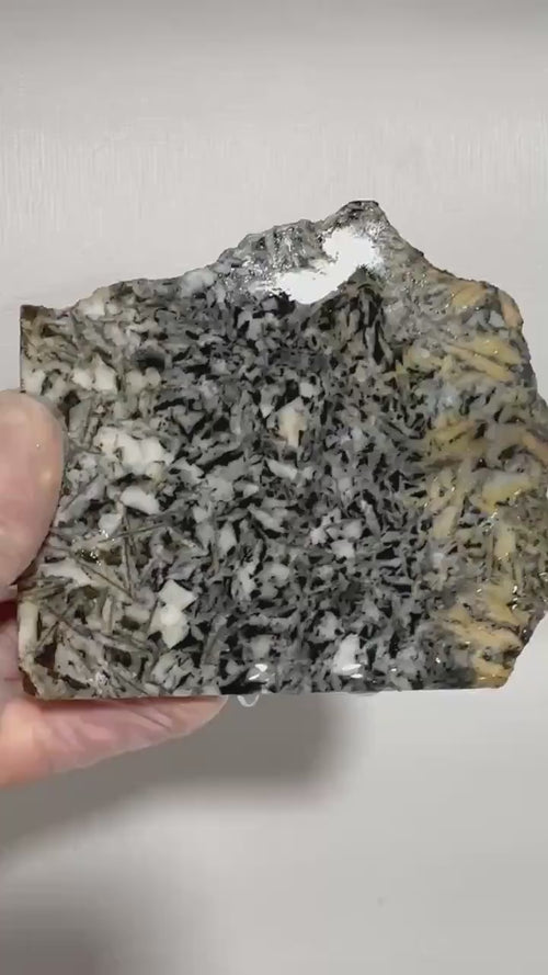 Canadian Pinolith Jasper Slab, Yellow Breccia Gemstone for Lapidary, Unpolished Stone