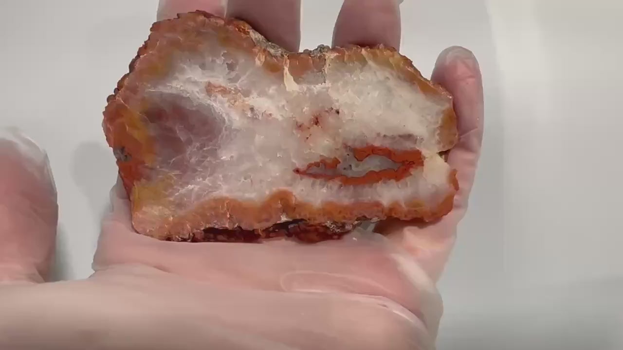Utah red grape agate nodule cross section slab from San Rafael Swell